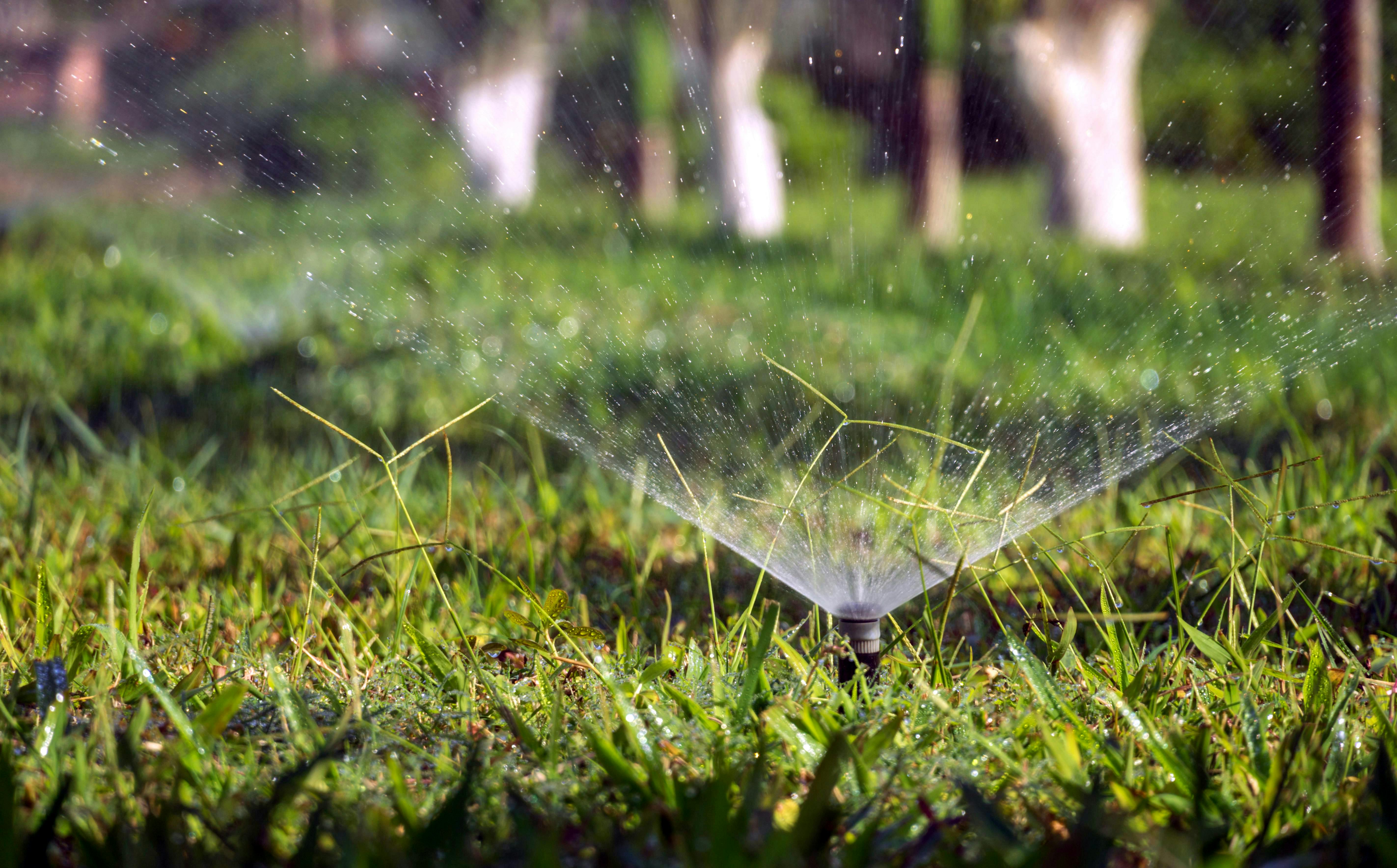 Irrigation Service