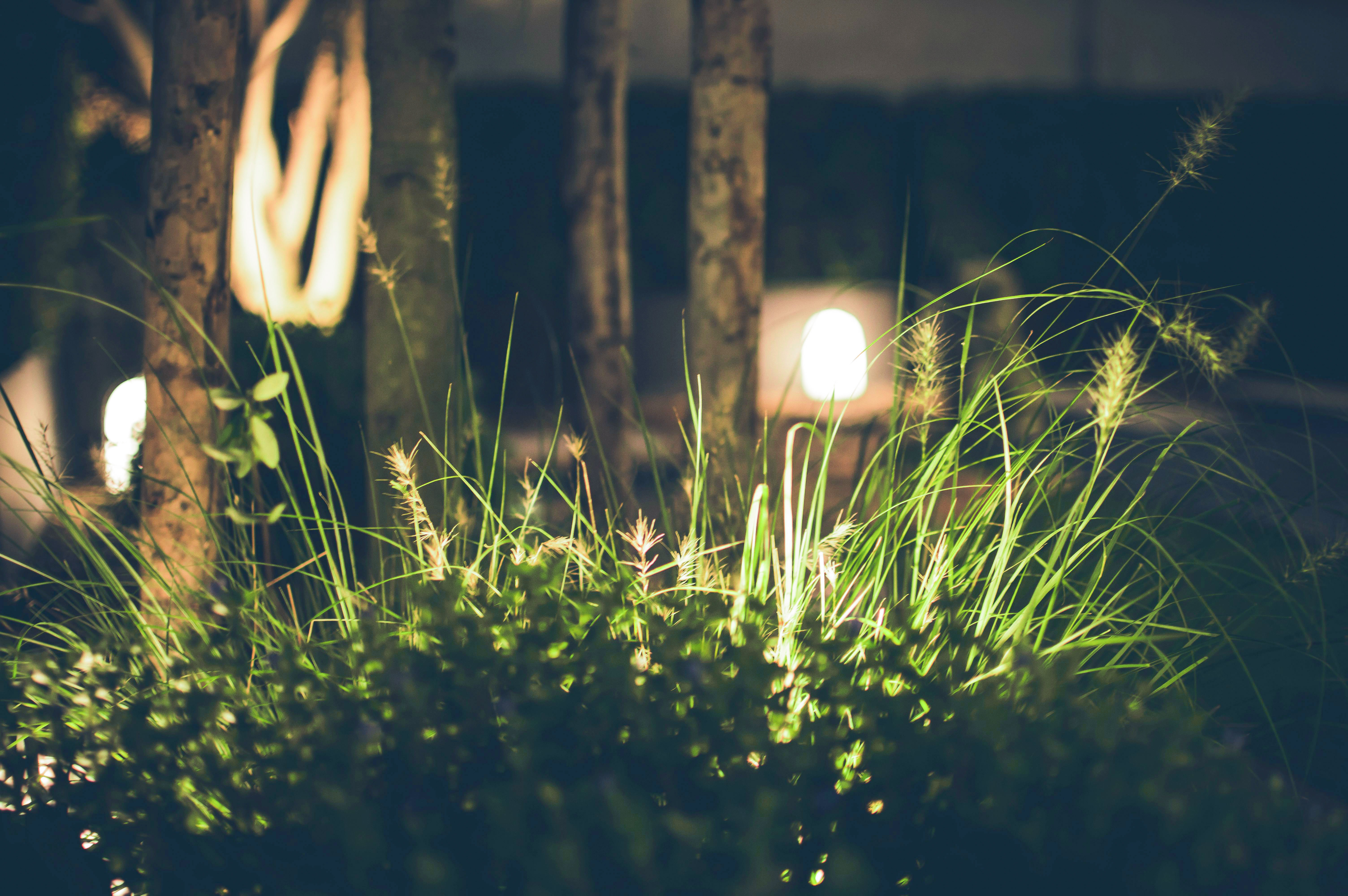 Landscape Lighting Service